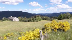 Vue paysage quartier Intres - Nathalie Quesney