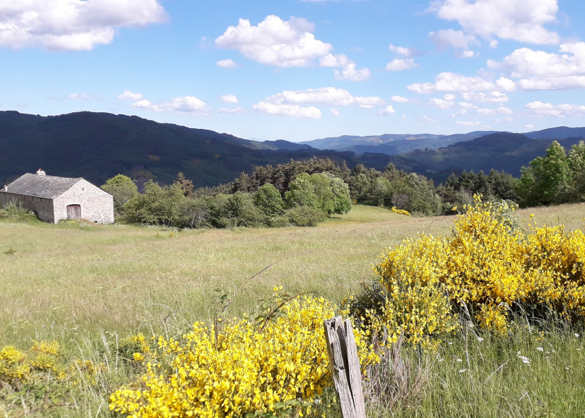 Vue paysage quartier Intres