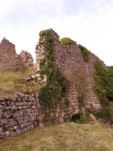 Vue Ruines chateauneuf des boutieres - - Nathalie Quesney